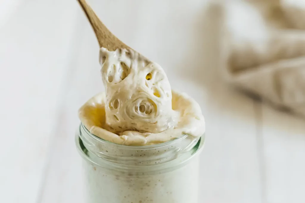 sourdough starter